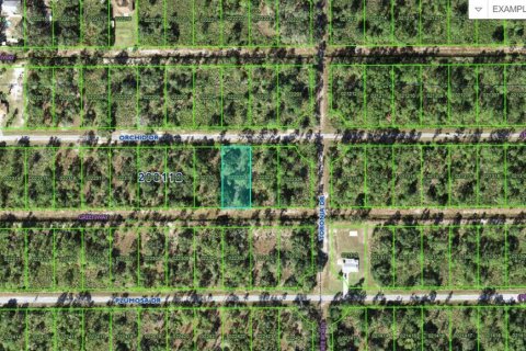 Land in Indian lake estates, Florida № 2207757 - photo 2