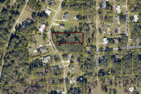 Land in Lake City, Florida № 2165591 - photo 3