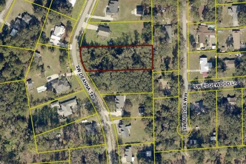 Land in Lake City, Florida № 2165591 - photo 4