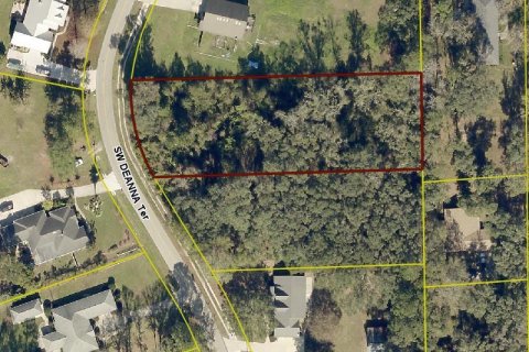 Land in Lake City, Florida № 2165591 - photo 2