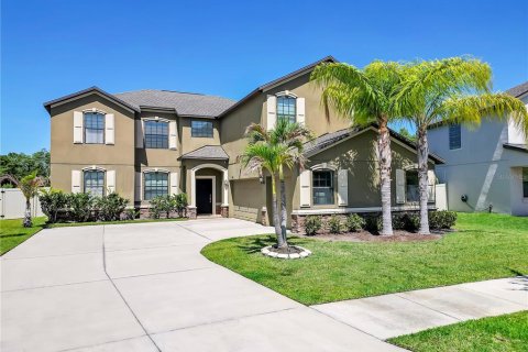 Villa ou maison à Wimauma, Floride 7 chambres, 354.89 m2 № 2228116