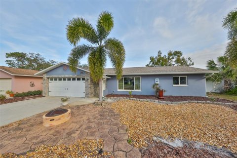 House in Seminole, Florida 4 bedrooms, 187.38 sq.m. № 1533624 - photo 2
