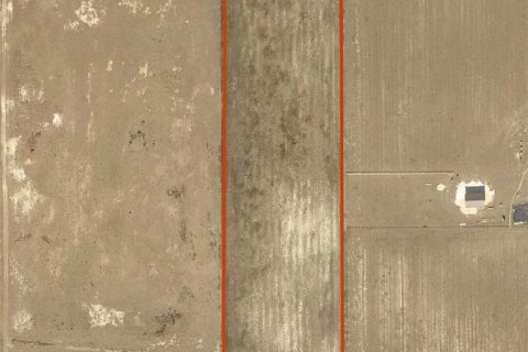 Terreno en Morriston, Florida № 2145288