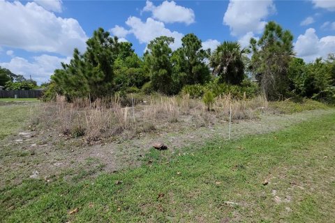 Land in Port Charlotte, Florida № 2163525