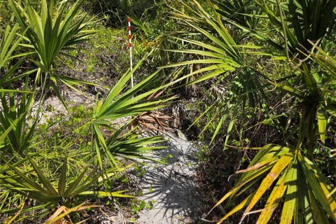 Land in Port Charlotte, Florida № 2163525 - photo 7