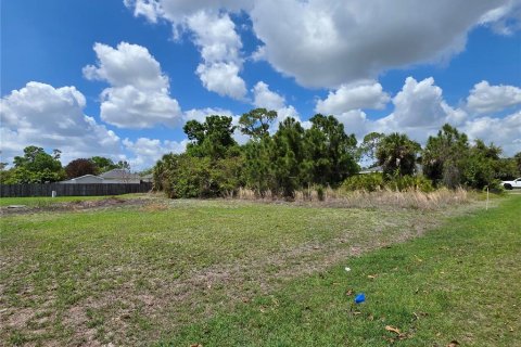 Land in Port Charlotte, Florida № 2163525 - photo 5