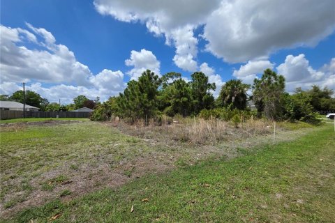 Land in Port Charlotte, Florida № 2163525 - photo 2
