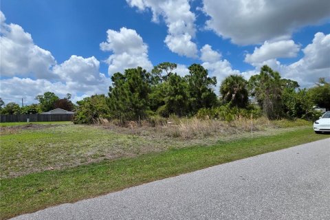 Land in Port Charlotte, Florida № 2163525 - photo 3