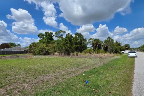 Land in Port Charlotte, Florida № 2163525 - photo 4