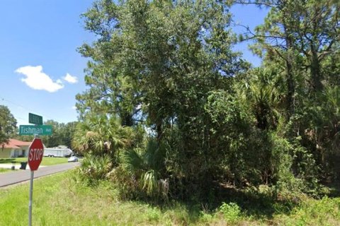 Land in North Port, Florida № 2164821 - photo 5