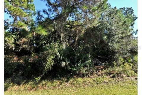 Land in North Port, Florida № 2164821 - photo 7