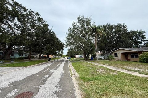 Land in Saint Petersburg, Florida № 1912040 - photo 8
