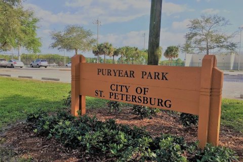 Land in Saint Petersburg, Florida № 1912040 - photo 10