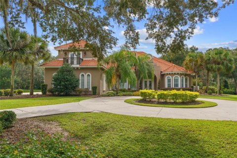 Villa ou maison à vendre à Ocala, Floride: 5 chambres, 630.25 m2 № 1910557 - photo 3