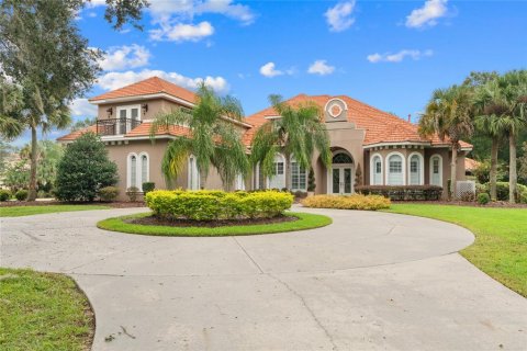 Villa ou maison à vendre à Ocala, Floride: 5 chambres, 630.25 m2 № 1910557 - photo 1
