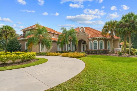 Villa ou maison à vendre à Ocala, Floride: 5 chambres, 630.25 m2 № 1910557 - photo 4