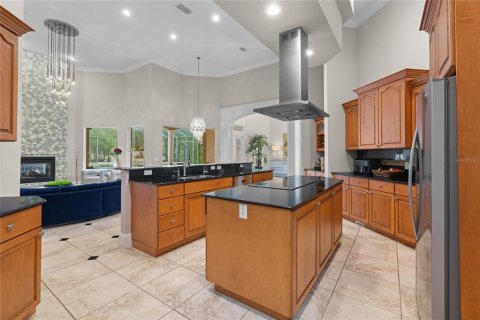 Villa ou maison à vendre à Ocala, Floride: 5 chambres, 630.25 m2 № 1910557 - photo 19