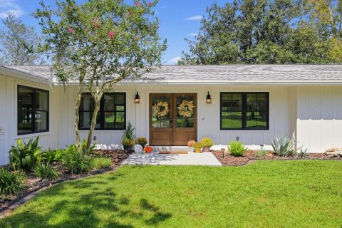 Villa ou maison à Newberry, Floride 3 chambres, 191.66 m2 № 2407123