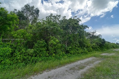 Commercial property in Miami, Florida № 1726634 - photo 14