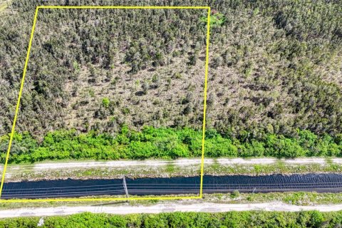 Commercial property in Miami, Florida № 1726634 - photo 6