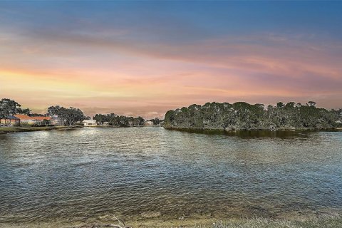 Villa ou maison à vendre à Sarasota, Floride: 3 chambres, 241.08 m2 № 2391678 - photo 4