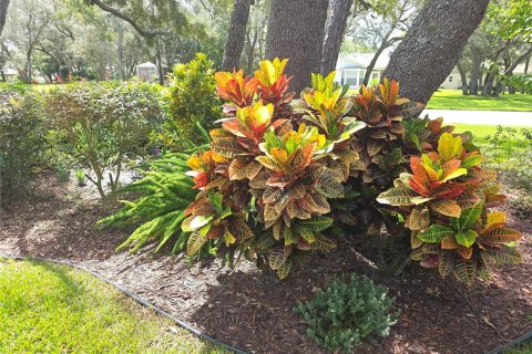 House in Spring Hill, Florida 2 bedrooms, 187.66 sq.m. № 1909668 - photo 29