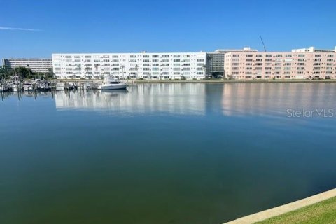 Condo in Gulfport, Florida, 1 bedroom  № 1828665 - photo 3