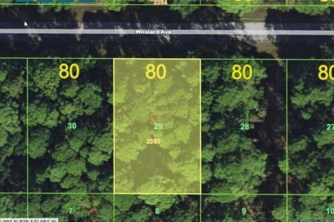 Land in Port Charlotte, Florida № 2163402