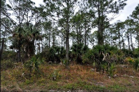 Land in North Port, Florida № 2164868 - photo 2