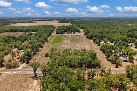 Land in Branford, Florida № 2138893 - photo 4