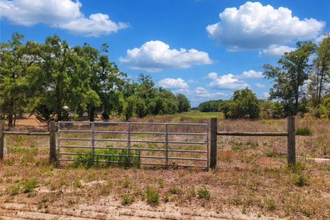 Land in Branford, Florida № 2138893 - photo 18