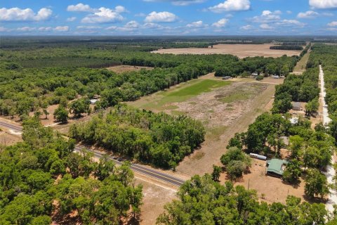 Land in Branford, Florida № 2138893 - photo 6
