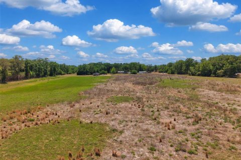 Land in Branford, Florida № 2138893 - photo 10
