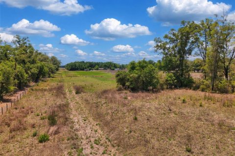 Land in Branford, Florida № 2138893 - photo 14