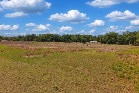 Land in Branford, Florida № 2138893 - photo 13