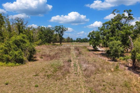 Land in Branford, Florida № 2138893 - photo 12