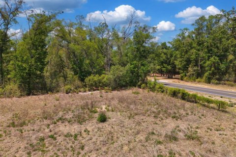 Land in Branford, Florida № 2138893 - photo 15