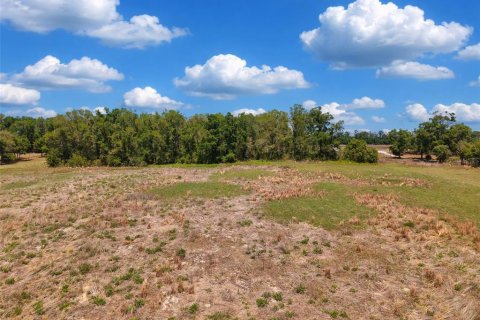 Land in Branford, Florida № 2138893 - photo 11