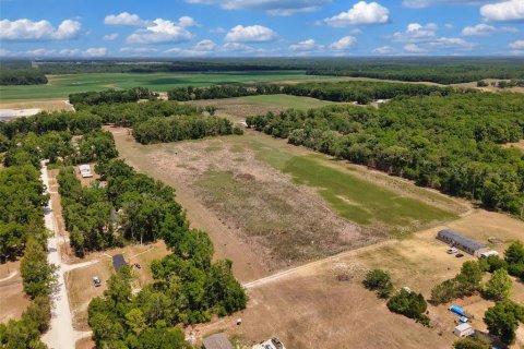 Land in Branford, Florida № 2138893 - photo 7