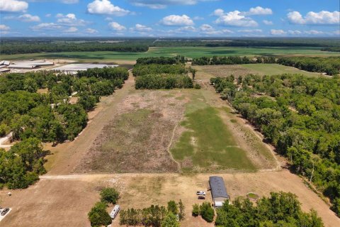Land in Branford, Florida № 2138893 - photo 8