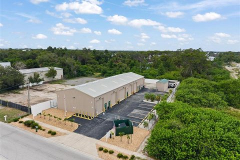 Commercial property in Tarpon Springs, Florida 620.12 sq.m. № 2239171 - photo 22