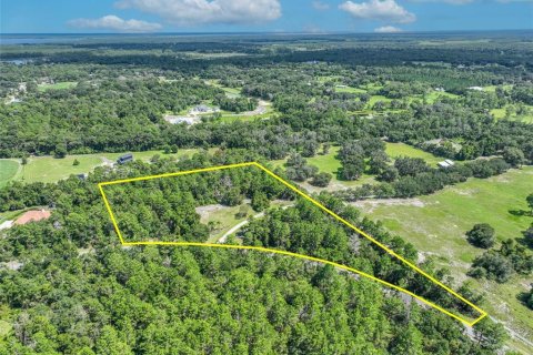 Land in Geneva, Florida № 2367136