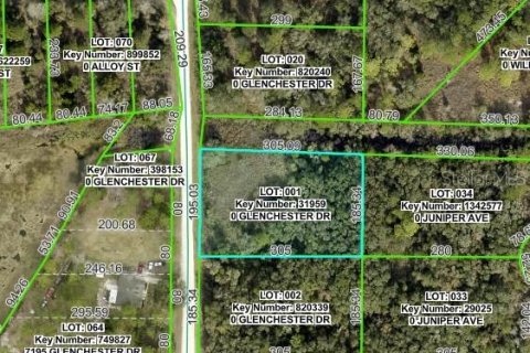 Land in Webster, Florida № 2160406 - photo 2