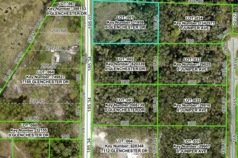 Land in Webster, Florida № 2160406 - photo 3