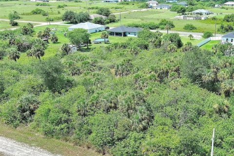 Land in Lehigh Acres, Florida № 2164344 - photo 3