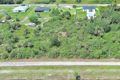 Land in Lehigh Acres, Florida № 2164344 - photo 5