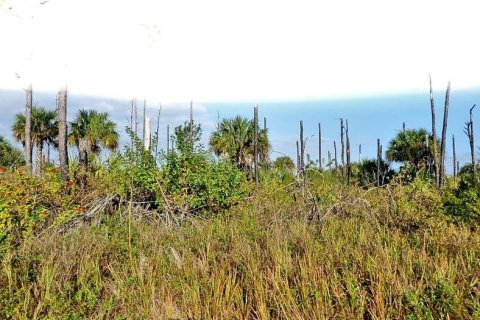 Land in North Port, Florida № 2164874 - photo 2