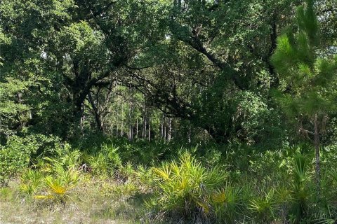 Land in Indian lake estates, Florida № 2165542 - photo 2