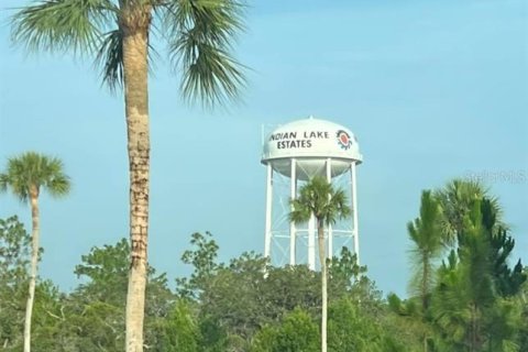 Land in Indian lake estates, Florida № 2165542 - photo 23