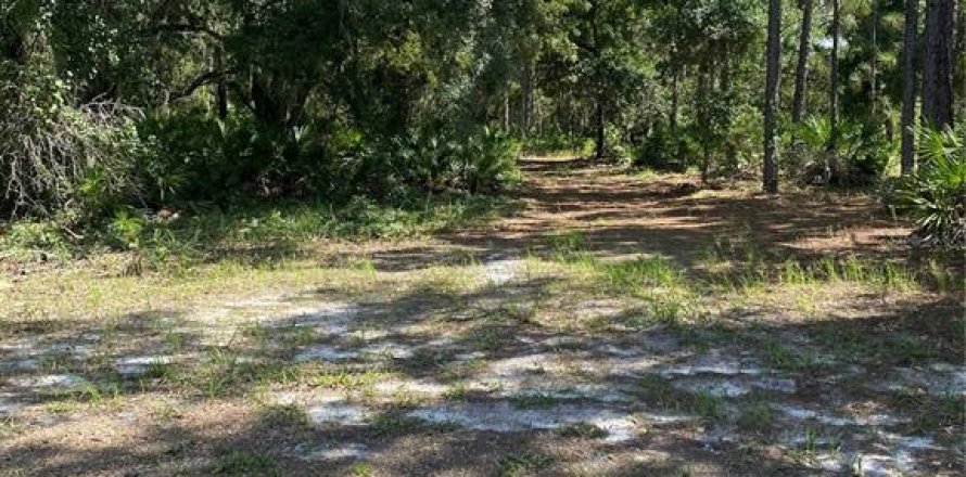 Land in Indian lake estates, Florida № 2165542